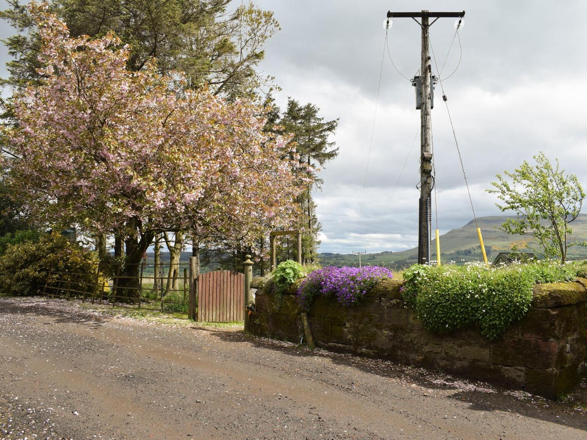 The Barn Villa Fintry Bagian luar foto
